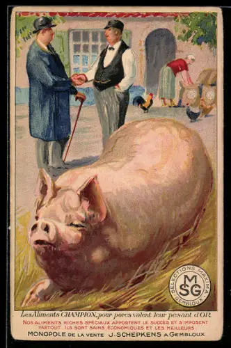 AK Reklame Selections Maxima Gembloux, Bauern und Preisgekröntes fettes Schwein