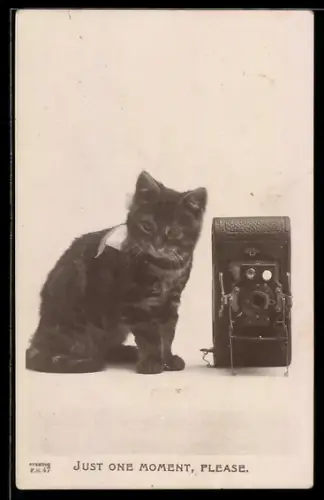 AK niedliche Katze neben einem Fotoapparat, Just one Moment please