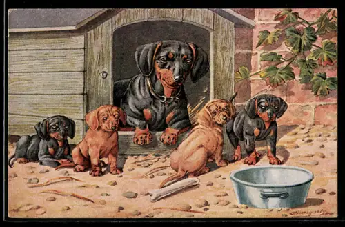 Künstler-AK Dackelhündin mit ihren Welpen vor der Hundehütte