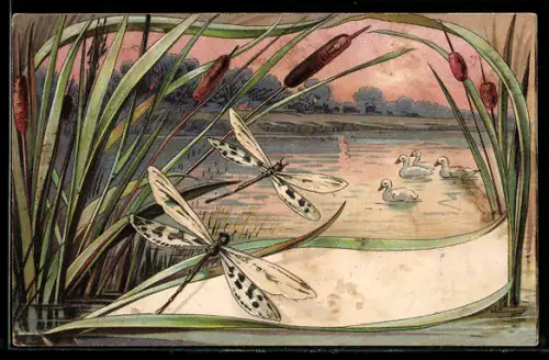 AK Teich im Sonnenuntergang vom Schilf aus gesehen, Libellen, Enten, Jugendstil