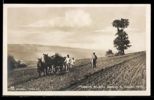 AK Pflügende deutsche Soldaten in Galizien 1915