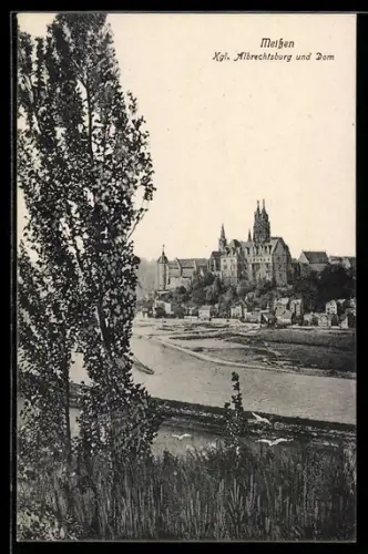 AK Meissen, Kgl. Albrechtsburg und Dom vom gegenüberliegenden Elbufer aus gesehen