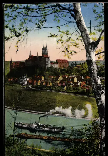 AK Meissen, Blick von Proschwitz auf die Albrechtsburg und den Dom