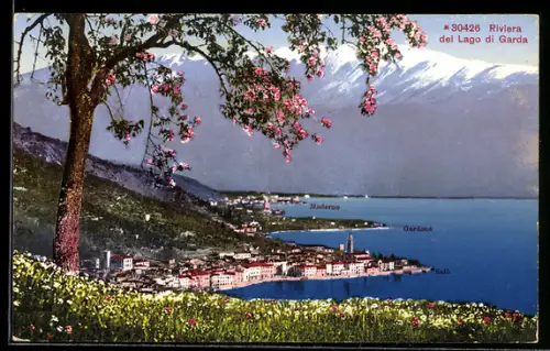 AK Salò /Lago di Garda, Panorama con fiori e vista su Gardone e Maderno