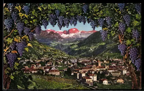 AK Gries /Bolzano, Vista panoramica con vigneti e montagne sullo sfondo