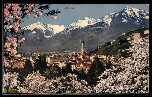 AK Merano, Panorama primaverile con montagne innevate e fiori di ciliegio