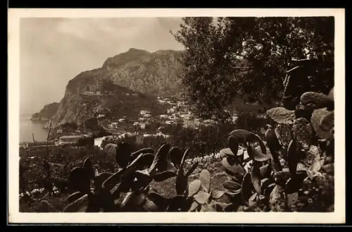 AK Capri, Panorama