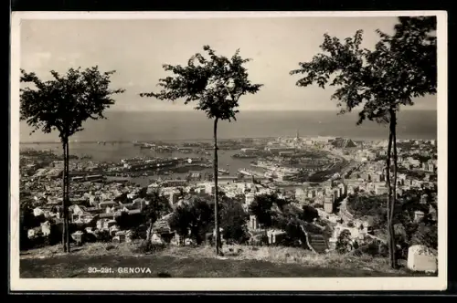 AK Genova, Vista panoramica del porto con alberi in primo piano