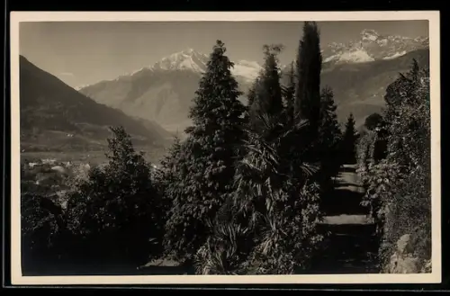 AK Merano, Passeggiata Tappeiner