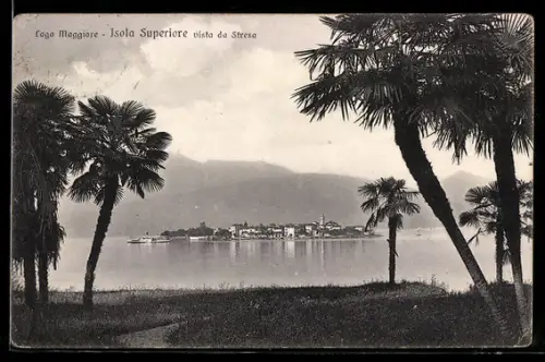 AK Isola Superiore /Lago Maggiore, Isola Superiore vista da Stresa con palme sullo sfondo