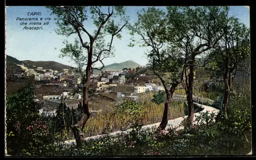AK Capri, Panorama e via che mena ad Anacapri