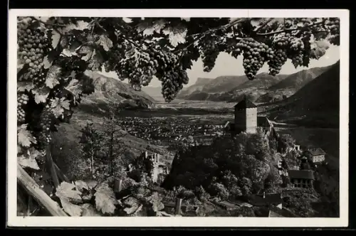 AK Merano, Castel Tyrol con vigneti in primo piano