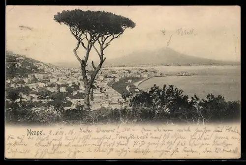 AK Napoli, Vista del Vesuvio e della costa con albero in primo piano