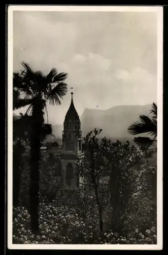 AK Merano, Panorama con campanile tra le palme e le montagne sullo sfondo