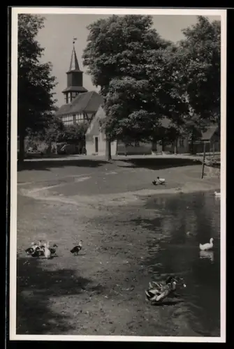 Foto-AK Braunsberg /Rheinsberg, Dorfkirche und Anger, Enten am Teich
