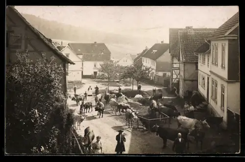 Foto-AK Engelsbach, Viehherde im Ort 1912