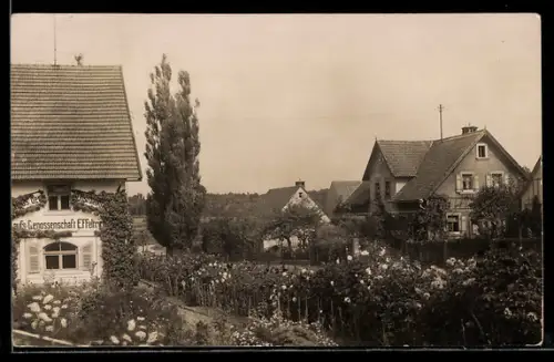 Foto-AK Effeltrich, Obstbaumzumcht-Genossenschaft