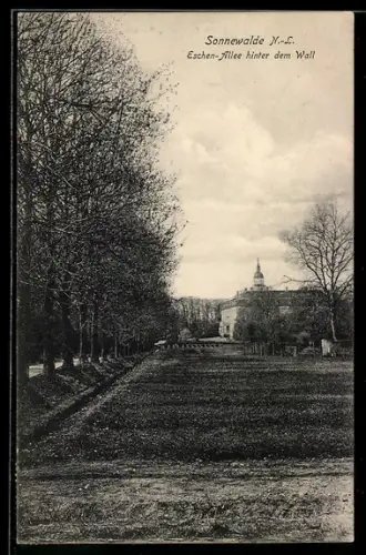 AK Sonnewalde /N.-L., Eschen-Allee hinter dem Wall