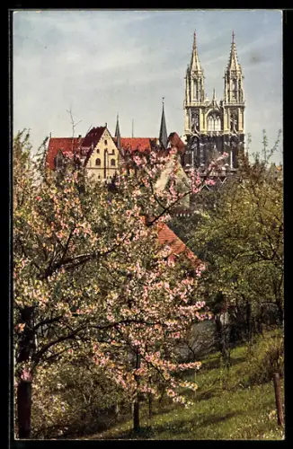 AK Meissen, Königliche Albrechtsburg von der Westseite