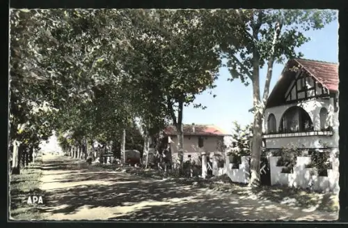 AK Fleurance, Avenue des Pyrénées