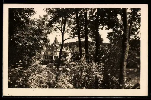 AK Schinkau, Schloss und umgebender Wald