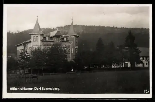 AK Schneeberg, Panorama mit umgebendem Wald