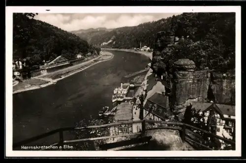 AK Herrnskretschen a. Elbe, Uferpartie mit Waldstück