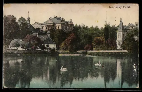 AK Nemecky Brod, Panorama