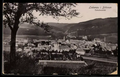 AK Liebenau i. Böhmen, Ortsansicht mit Kirche