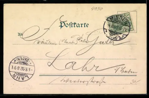 AK Minden i. W., Markt, Rathaus, Strassenleben