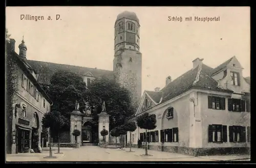 AK Dillingen a. D., Schloss mit Hauptportal