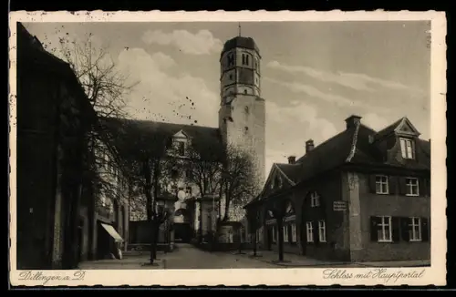 AK Dillingen a. D., Schloss mit Hauptportal, Panorama