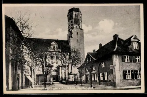 AK Dillingen a. D., Schloss, Haupteingang, Gasthaus