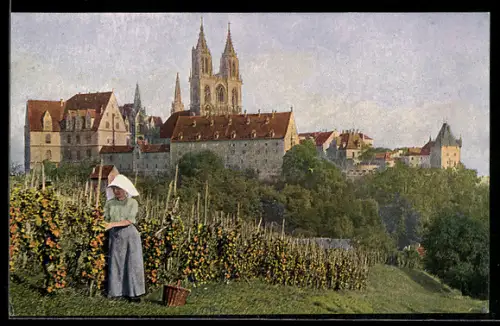 AK Meissen, Meissner Weinberg, Stadtpanorama, Weinbäuerin