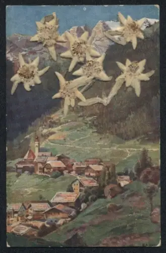 Trockenblumen-AK Andraz in Buchenstein, Edelweissblüten, rückseitig Blätter