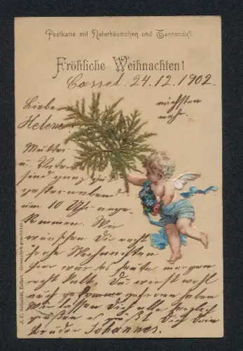 Trockenblumen-AK Naturbäumchen und Tannenduft, Gräserstrauss u. Engel, Weihnachtsgruss