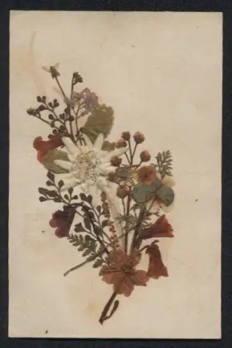 Trockenblumen-AK Bunter Strauss mit Edelweiss