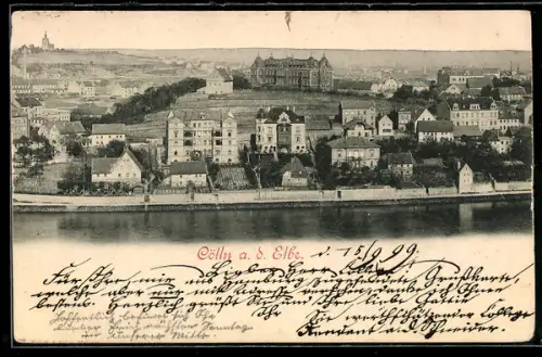 AK Cölln a. d. Elbe, Stadtansicht mit Schloss und Elbufer