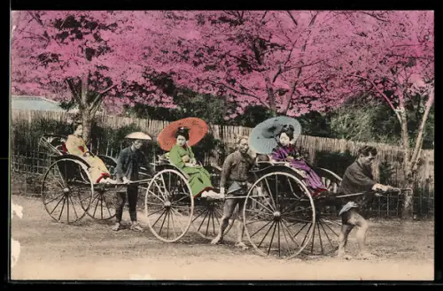 AK Drei Geishas in Rikschas unter Kirschblüten