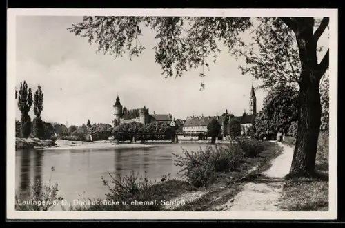 AK Lauingen a. D., Donaubrücke, ehemal. Schloss, Treidelweg