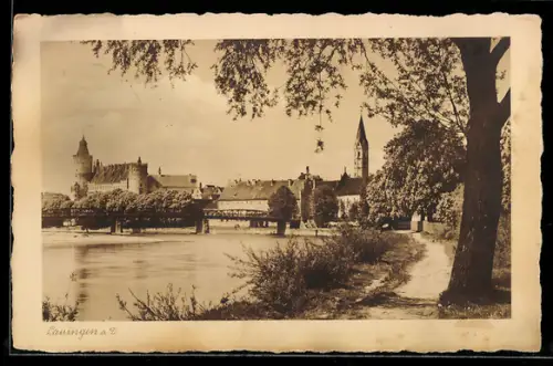 AK Lauingen a. D., Stadtpanorama mit Schloss, Donaubrücke, Kirche, Treidelweg