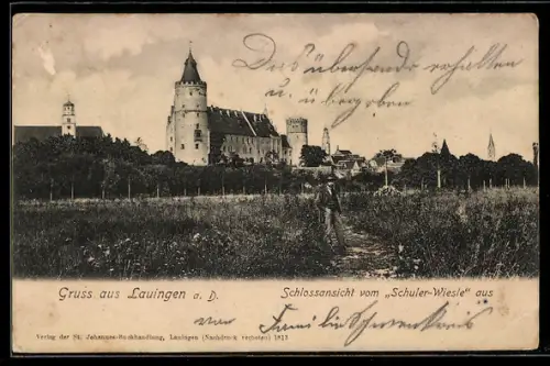 AK Lauingen a. D., Schlossansicht vom Schuler-Wiesle