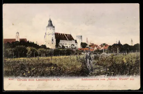 AK Lauingen a. D., Schlossansicht vom Schuler Wiesle, Panorama