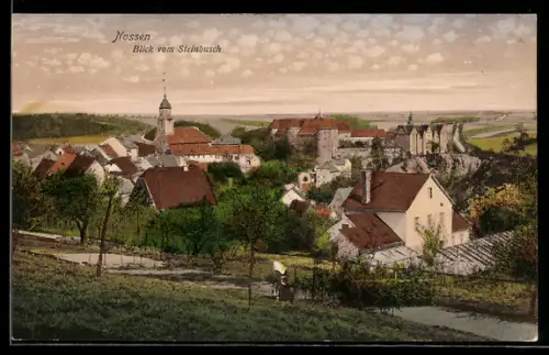 AK Nossen, Ortsansicht vom Steinbusch