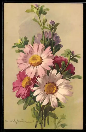 Künstler-AK Catharina Klein: Rosa Blüten in einem Strauss