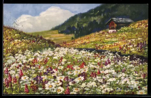 Künstler-AK Anna Haller: Blumenwiese in den Bergen
