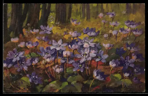 Künstler-AK Anna Haller: Violette Blumen am Waldboden
