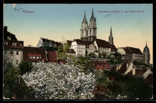 AK Meissen, Schlossberg mit Dom u. Albrechtsburg, Frühling
