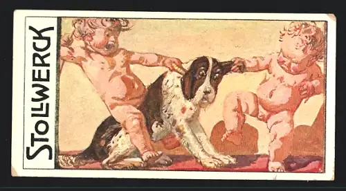 Sammelbild Stollwerck, Schokolade, Zwei Kinder ziehen an einem Hund