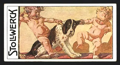 Sammelbild Köln, Gebrüder Stollwerck AG, Schokolade, Zwei Kinder reissen an einem Hund herum